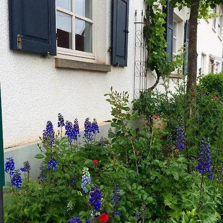 Seelig'S Weinsheim  Exterior photo